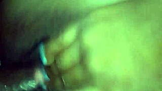 Wet and wild: A Pbub's pussy tale