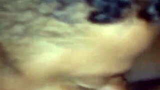 Fat ebony amateur sucks pussy in pov