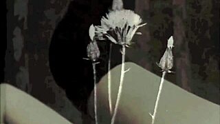 hey, check out these vintage erotic confessions with blowjobs and milfs