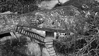 Latina Girlfriend Assfucks Brazilian Cock Taboo