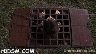 exploring collars in sadomasochism practices