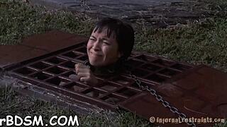 exploring collars in sadomasochism practices