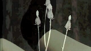 exploring secret porn life from vintage times