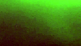 stepmom shares family stories and advice