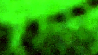 stepmom shares family stories and advice