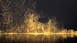 pov ass fucking anal close up