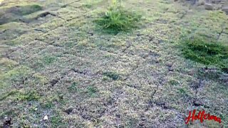 Passionate Sex On Highway