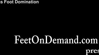 Code Inspector Reviews The System