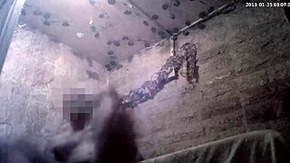 Why are we fucking like this, stepsister, while hiding from stepdad?