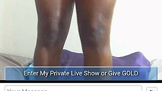 Coacoa Ebony Black Beauty