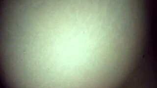 stepmom and stepson enjoy soft anal sex