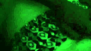 Dogging In Parking Lot With Beautiful Tits And Pussy