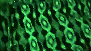 Dogging In Parking Lot With Beautiful Tits And Pussy