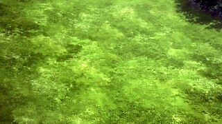 episode nine of the hardcore series