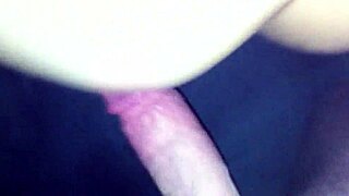 A captured amateur video moment unfolds in img 1363 mov