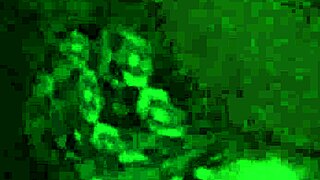 Dogging In Parking Lot With Beautiful Tits And Pussy