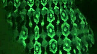 Dogging In Parking Lot With Beautiful Tits And Pussy