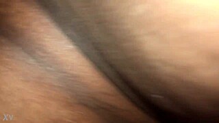 Amateur Video Compilation