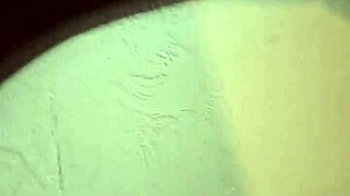 long video of her sucking my cock and looking at her ass