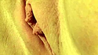 Trim Video Featuring Chubby Bunny in Casual Setting