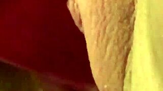 Trim Video Featuring Chubby Bunny in Casual Setting