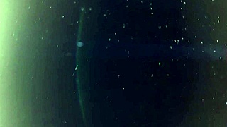 Siririca Guiada Joi Para Mulheres Asmr De Buceta E Gemido Vem Gozar Comigo Sussurro