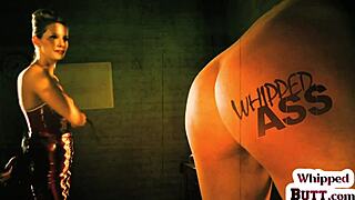 Lezdom Mistress Clamps Trimmed Dyke Pussy and Toys Bound Cunt with Dildo