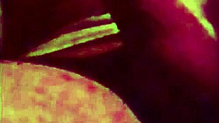 shelby love eats meat with blowjob and ass