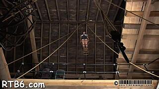 couple teases beauty's nipples and shaved pussy hard