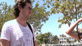 Handsome Dude Engages in Lusty Wild Cock Sucking