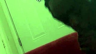 Intense Milfs Deliver Powerful Blowjobs To Multiple Partners