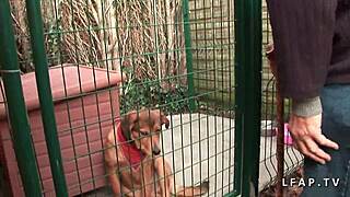 Widziałeś kiedyś uroczą francuską brunetkę uwodzącą starszego podglądacza?