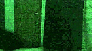 Hardcore assfucking and deepthroat action is shown between amateur couple