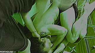 bitchy domme roxy deville collars her pet and makes him lick her pussy