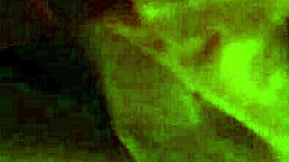 Blowjob Cock Oral Sucking Intense Action