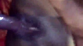 a good blowjob session