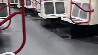 Brazilian amateur slut blows his cock in the train during webcam show