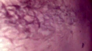 Sexo En La Cama Con Mi Perrita