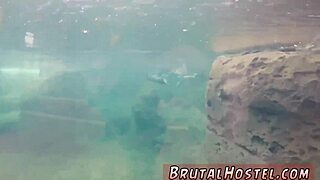 hentai monster anal with stupid tourists, believe it