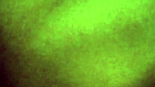 Papi Asks Kari For A Video!