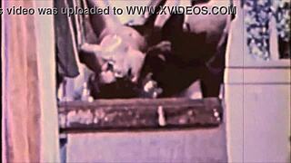 Vintage HAIRY lesbians explore passion