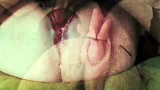 My Secret Life Unveiled: Has Everything Truly Changed in Retro Times?