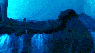 dublunt bbc dominates slim white girl in interracial action