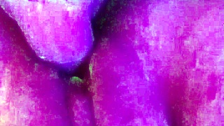 Can Utah James Destroy Your Pussy with His Huge Monster Cock?