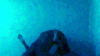 dublunt bbc dominates slim white girl in interracial action