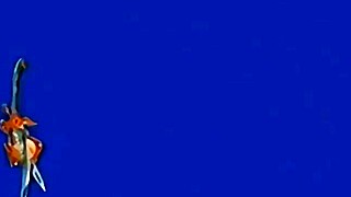 MITAMA NIN EPISODIO 1