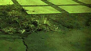 brazilian feet in extreme domination