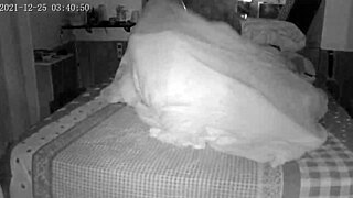 bbb 23 couple gives in to confinement