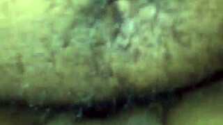 Fuck that ebony bbw pussy hard!