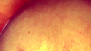 la pongo en perrito y lleno su culo